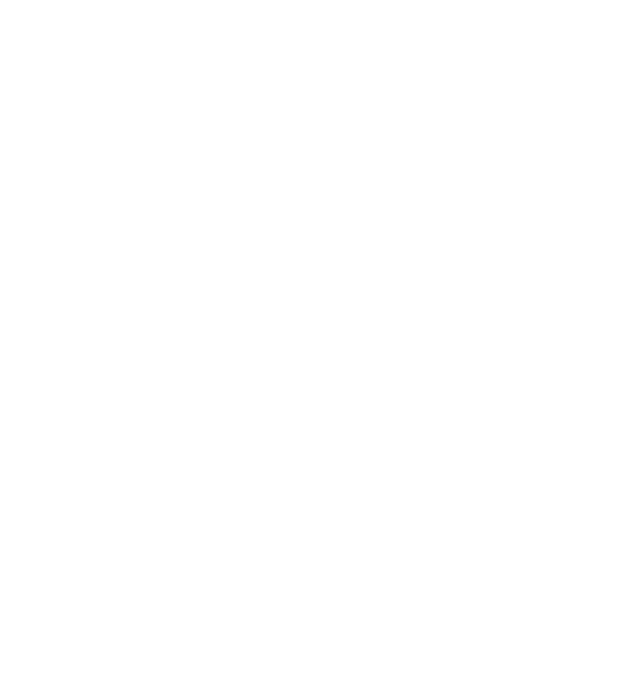 Co-funded by European union