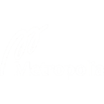 Metropolia ammattikorkeakoulu